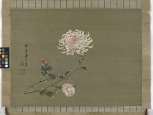 Crisântemo, Período Edo, 1791 (tinta e cor na seda)